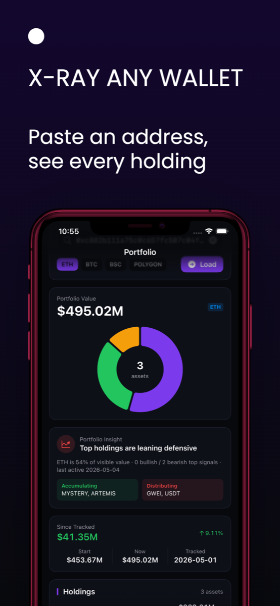 Crypto wallet lookup showing portfolio value and holdings for any wallet address